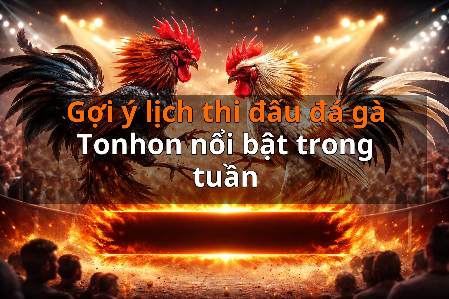Gợi ý lịch thi đấu đá gà Tonhon nổi bật trong tuần Gợi ý lịch thi đấu đá gà Tonhon nổi bật trong tuần