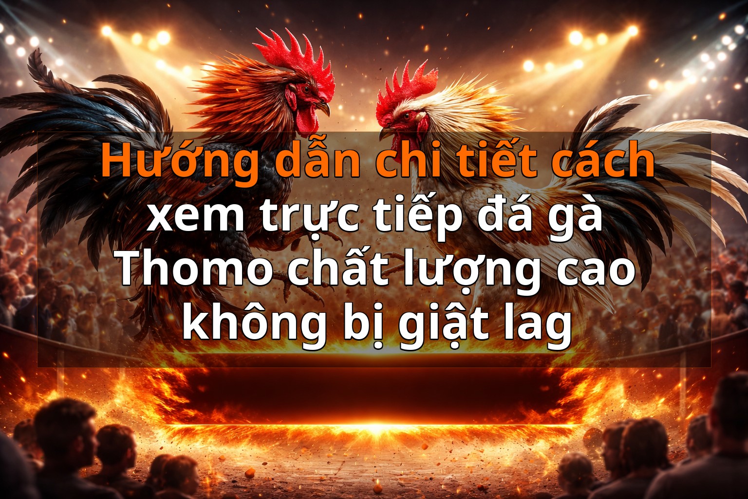 Hướng dẫn chi tiết cách xem trực tiếp đá gà Thomo chất lượng cao không bị giật lag