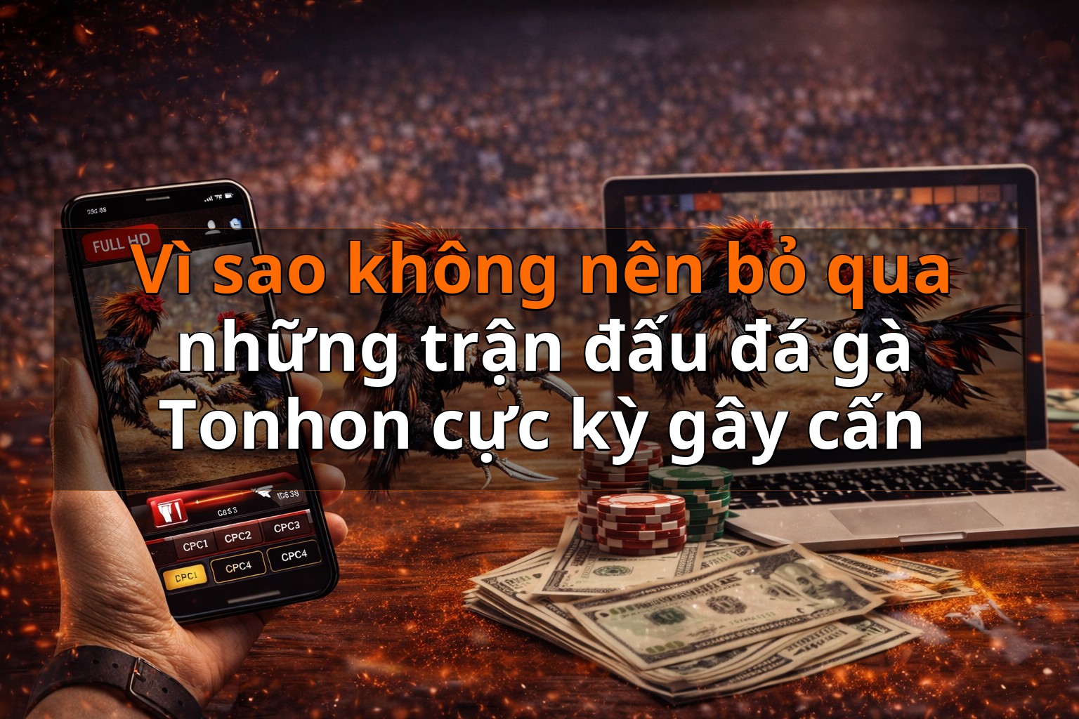 Vì sao không nên bỏ qua những trận đấu đá gà Tonhon cực kỳ gây cấn