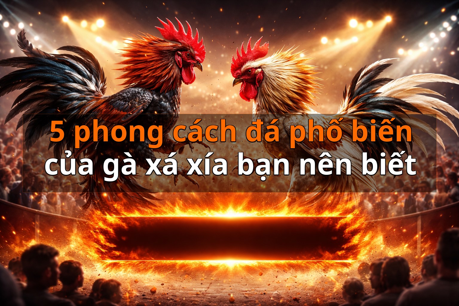 5 phong cách đá phố biến của gà xá xía bạn nên biết